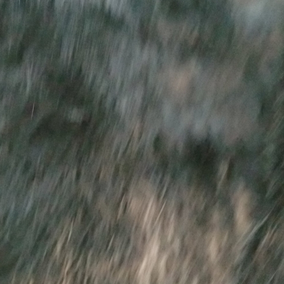 Black rabbit fur vest - Picture 5 of 7